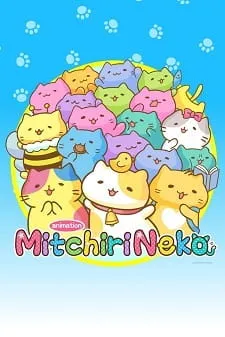 دانلود انیمه Micchiri Neko با زیرنویس فارسی از لینک مستقیم به صورت سافت ساب + پخش آنلاین با کیفیت بالا